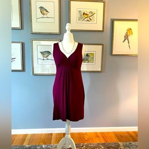 Banana Republic V-Neck Dress